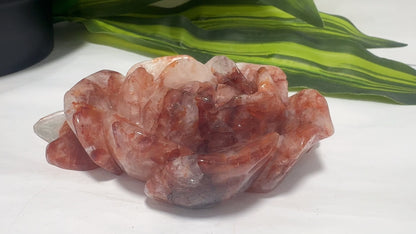 Fire Quartz Rose 284g