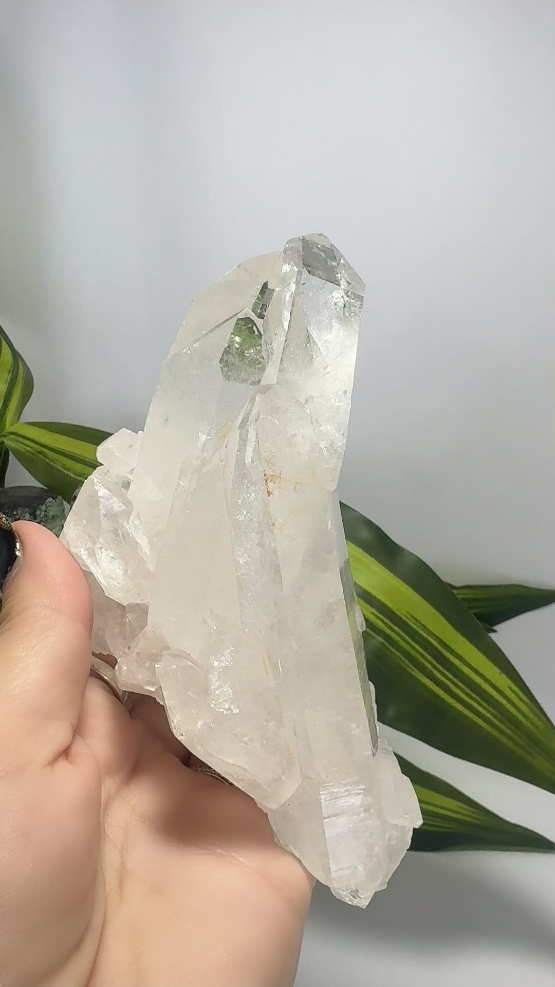 Clear Quartz Cluster 496g