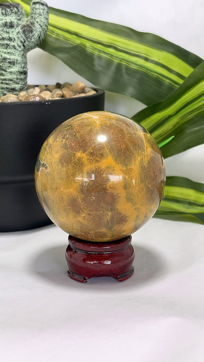 Ocean Jasper Sphere 550g