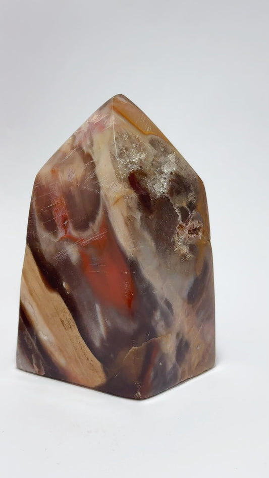 Petrified Wood tower 648G