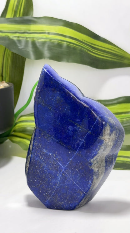 Lapis Lazuli Freeform 644g