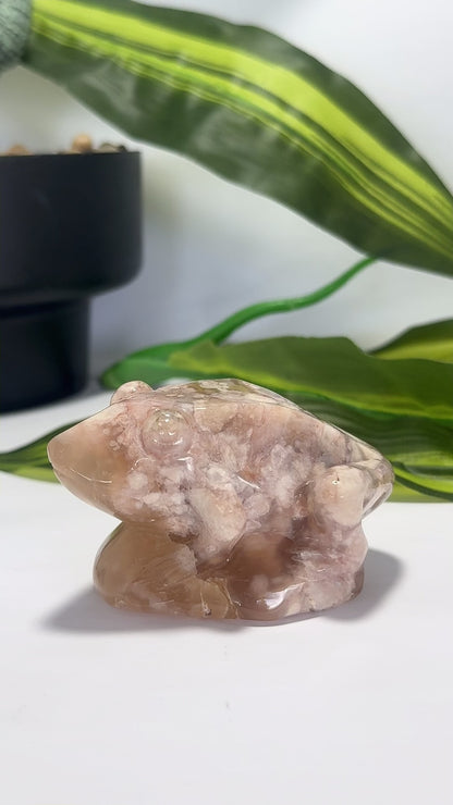 Flower Agate Frog 228g