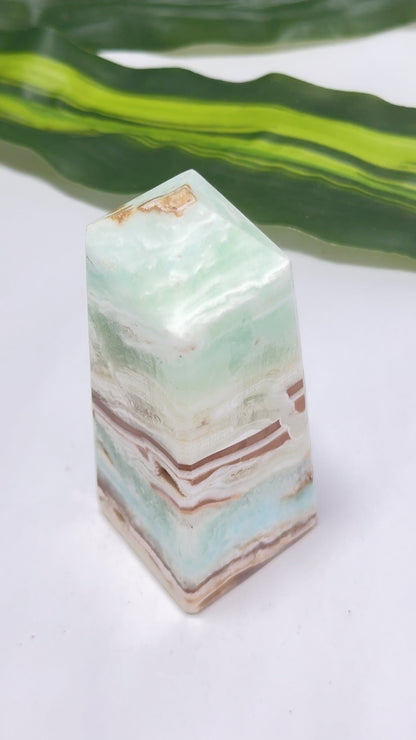 Caribbean Calcite Tower 281g