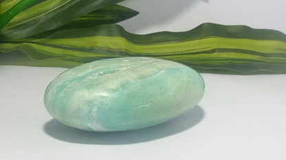 Aragonite Palm Stone 130g