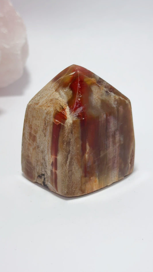 Petrified Wood Point 156g