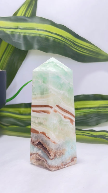 Caribbean Calcite Tower 312g