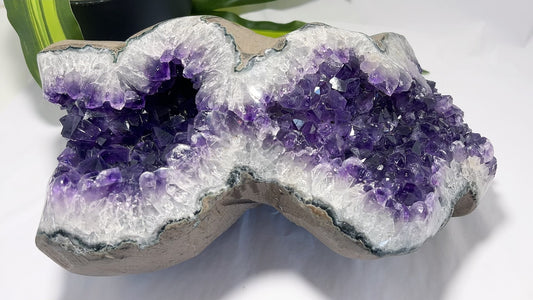 Amethyst Cluster 6.6kg