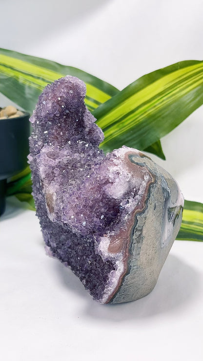 Amethyst Freeform Cluster 1.2kg