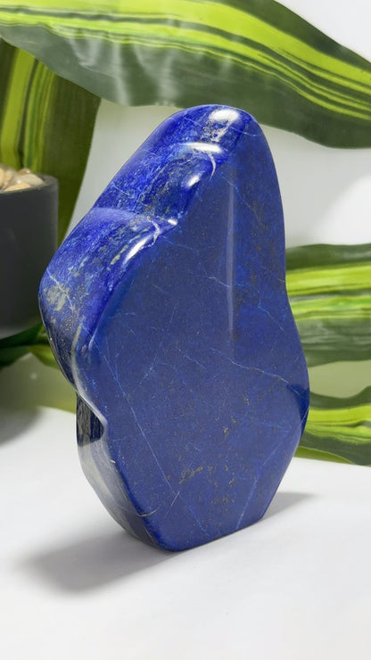 Lapis Lazuli Freeform 644g