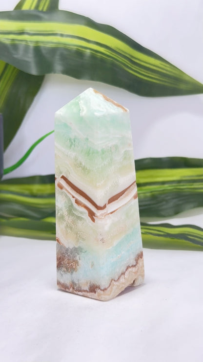 Caribbean Calcite Tower 312g