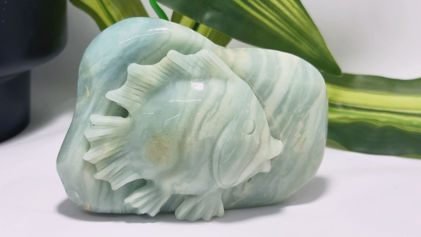 Amazonite Fish Carving 506g