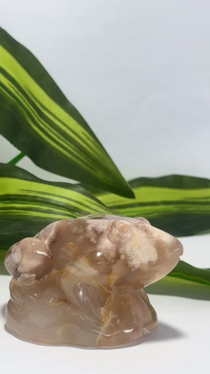 Flower Agate Frog 228g