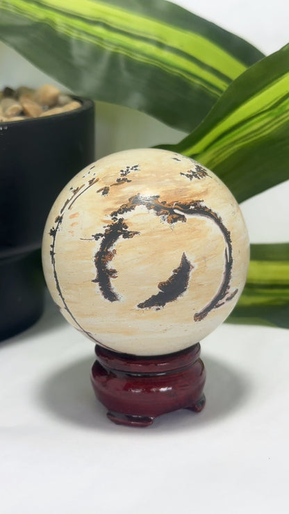 Picture Jasper Sphere 466g