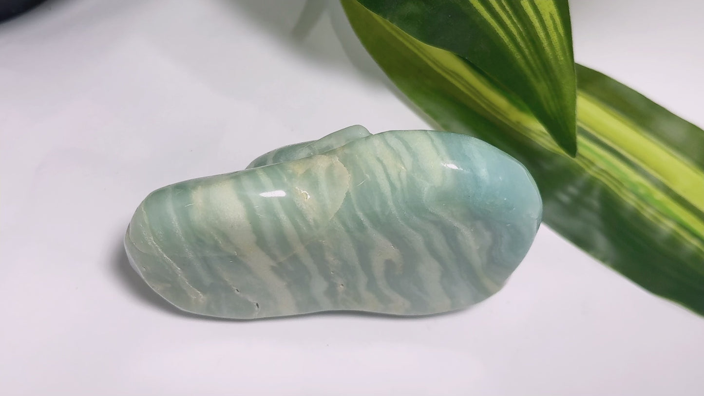 Amazonite Fish Carving 506g