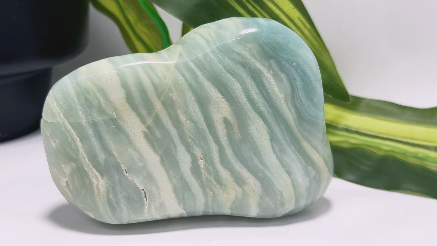 Amazonite Fish Carving 506g