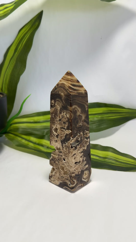 Choclate Calcite Tower 352g