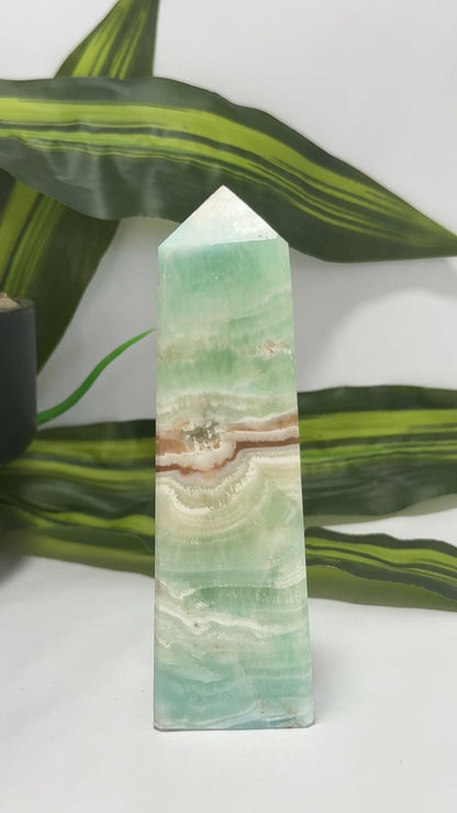 Caribbean Calcite Tower 384g