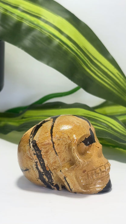 Picture Jasper Skull 212g