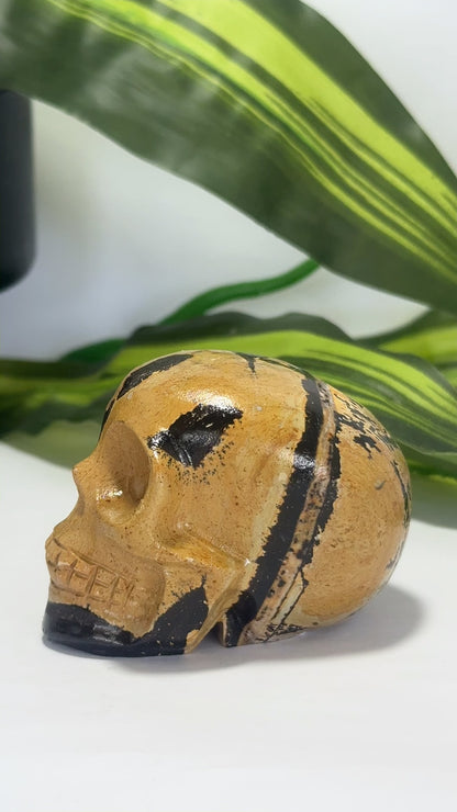 Picture Jasper Skull 212g