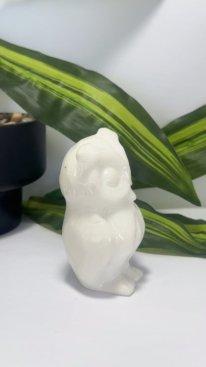 White Jade Owl 414g