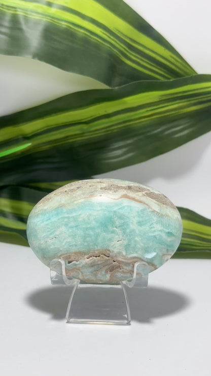 Aragonite Palm Stone 138g