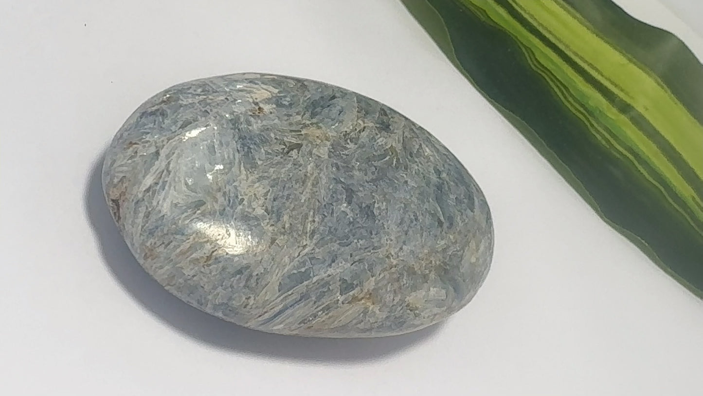 Kyanite Palm Stone 230g