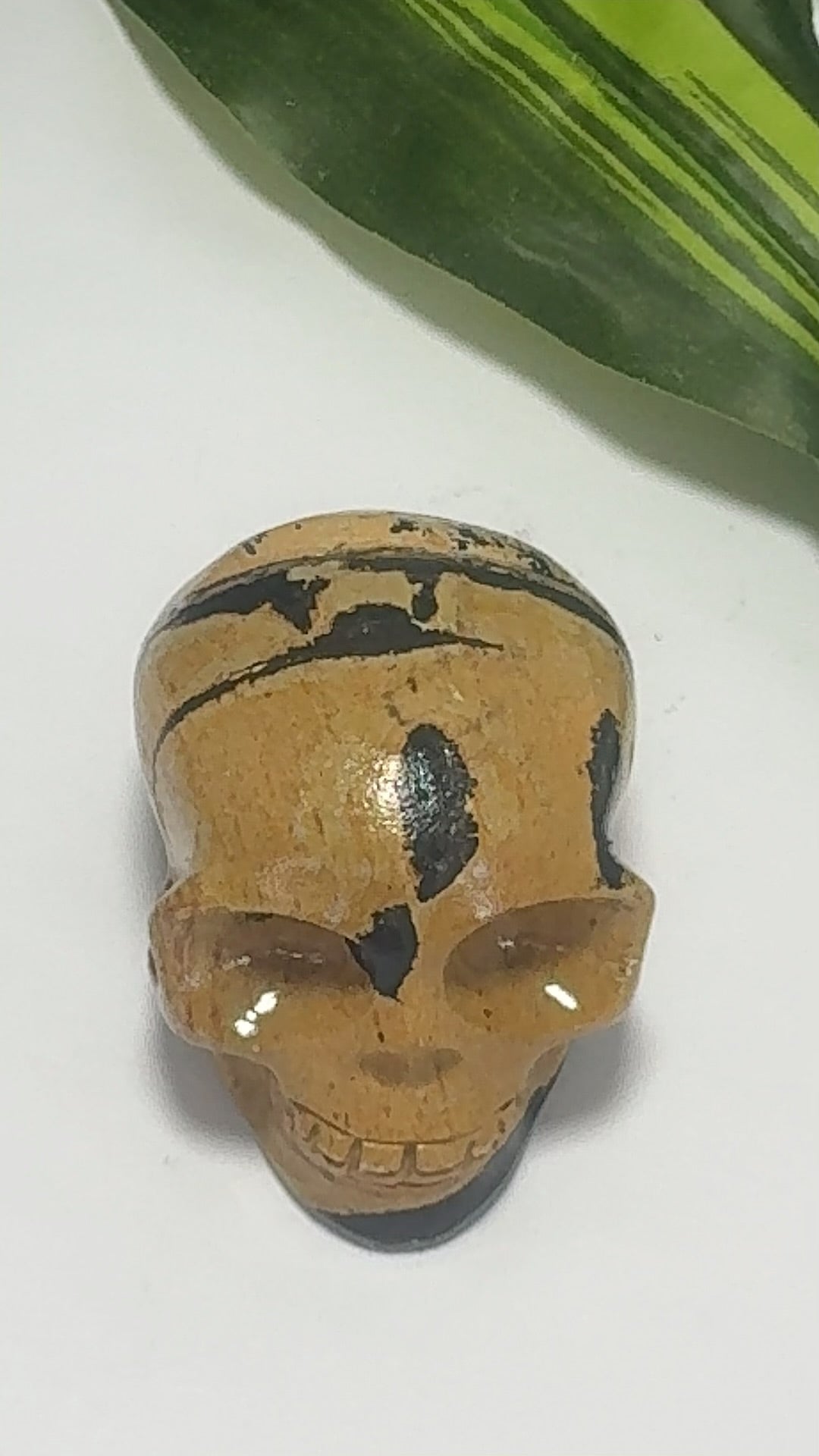 Picture Jasper Skull 212g