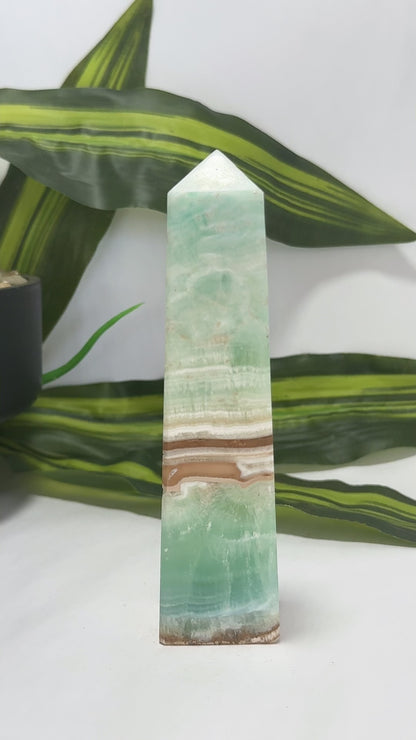 Caribbean Calcite Tower 308g