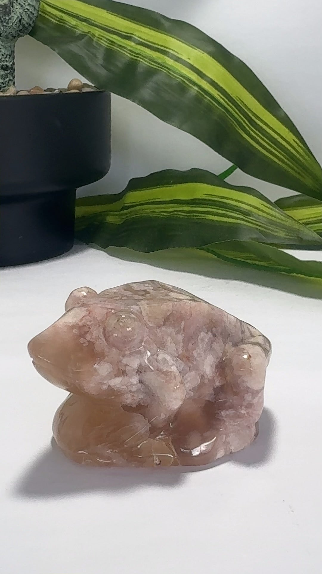 Flower Agate Frog 228g