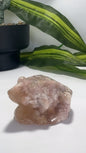 Flower Agate Frog 228g