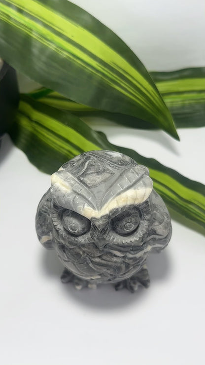 Thousand Eye Jasper Owl 1076g