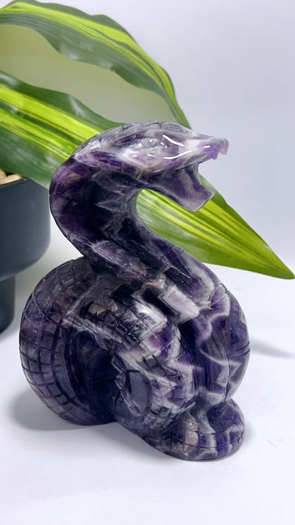 Chevron Amethyst Cobra 796g