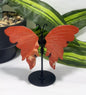 Red Jasper Butterfly on Stand 3pc