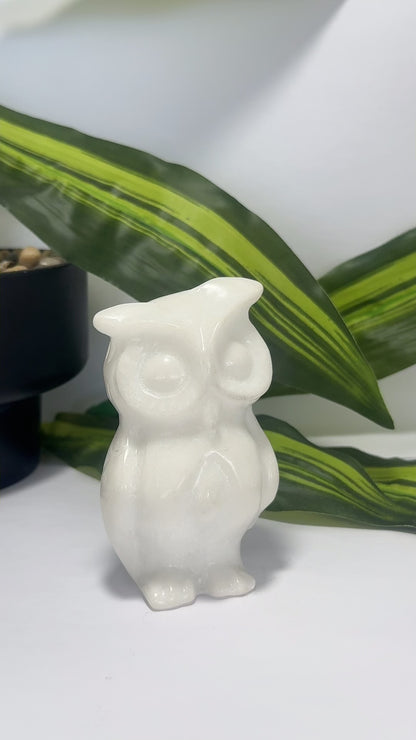 White Jade Owl 414g