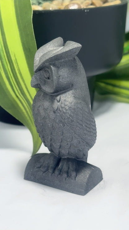 Graphite Owl