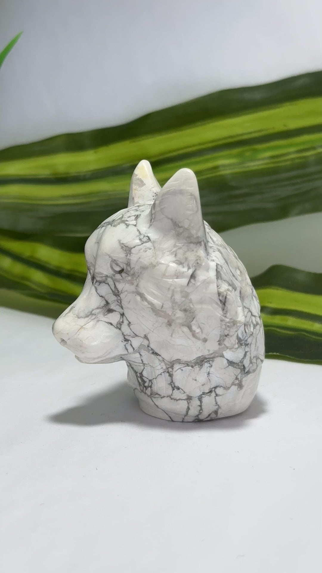 Howlite Wolfs Head 208g