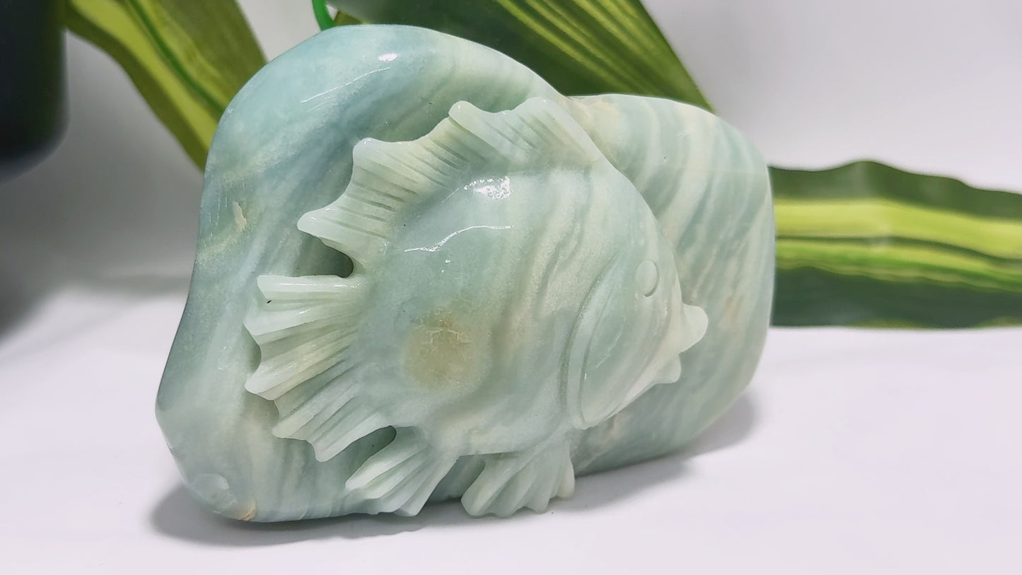 Amazonite Fish Carving 506g