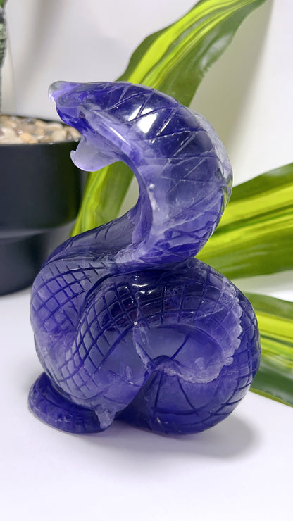 Purple Fluorite Cobra 866g