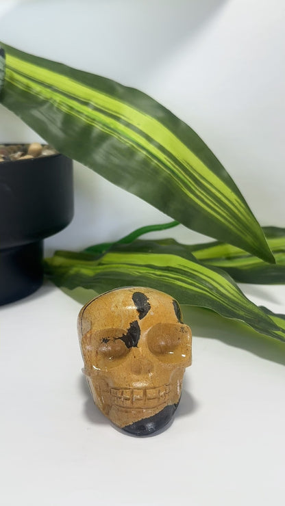 Picture Jasper Skull 212g