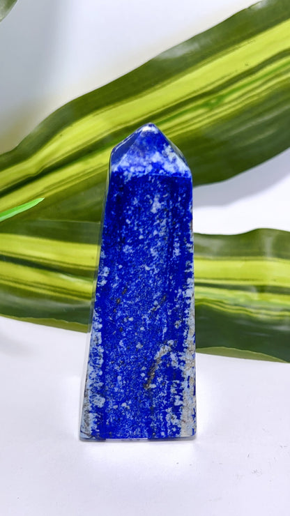 Lazurite Point 172g