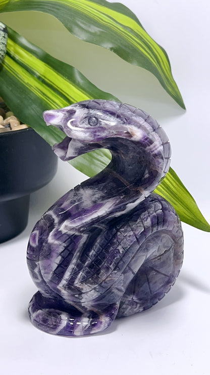 Chevron Amethyst Cobra 796g