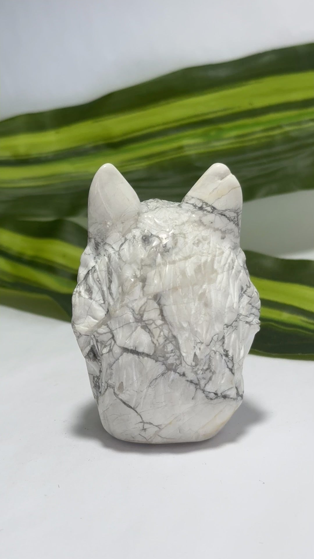 Howlite Wolfs Head 208g