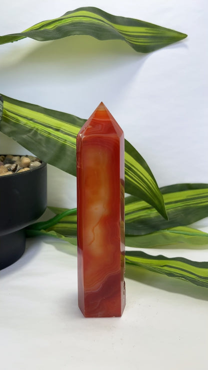 Carnelian Tower 296g