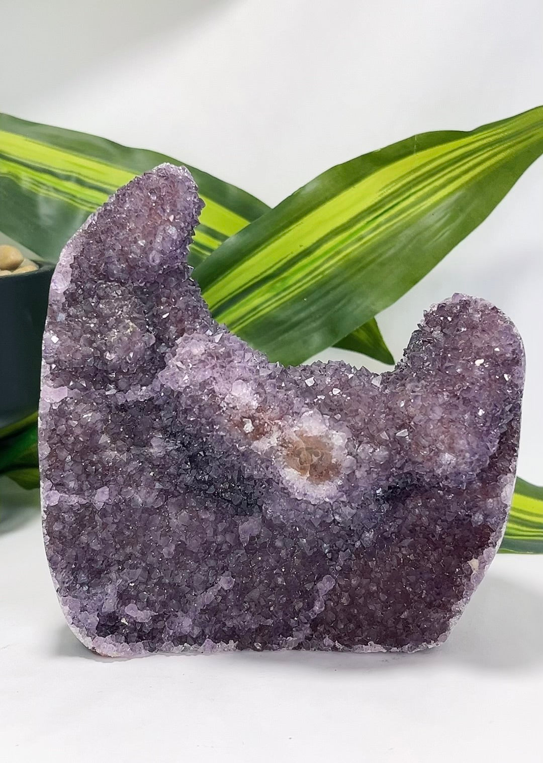 Amethyst Freeform Cluster 1.2kg