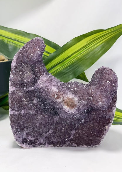 Amethyst Freeform Cluster 1.2kg