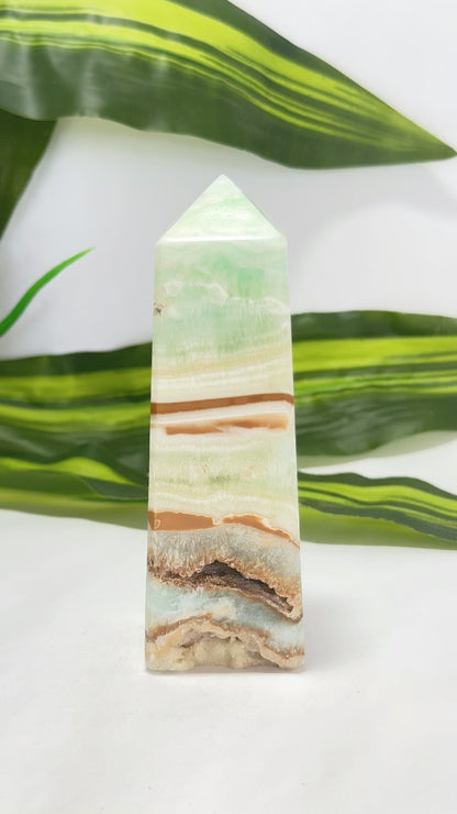 Caribbean Calcite Tower 312g