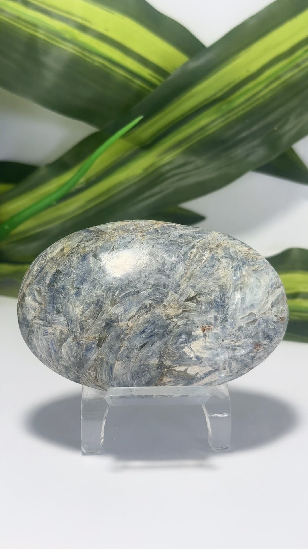 Kyanite Palm Stone 230g