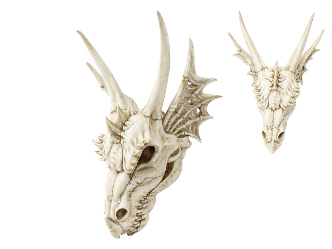 Antique Dragon Skull Head (Hangable) 55cm