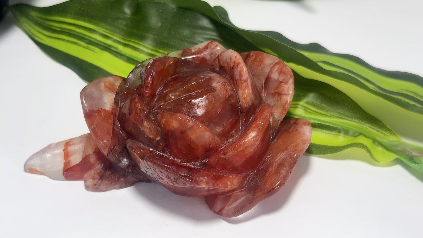 Fire Quartz Rose 328g