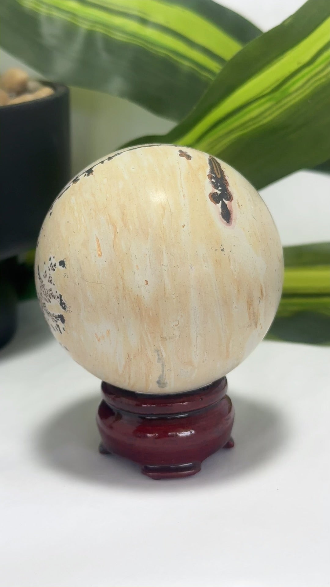 Picture Jasper Sphere 466g